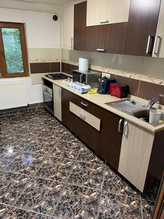 Royal Apartment Buzău Zewnętrze zdjęcie
