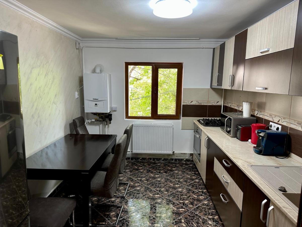 Royal Apartment Buzău Zewnętrze zdjęcie